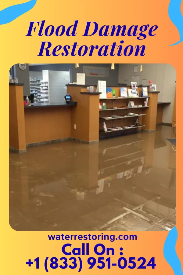 Flood Damage Restoration in Cold Spring, KY