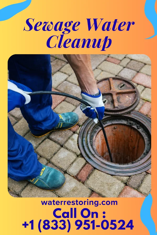 Sewage Water Cleanup in Cold Spring, KY
