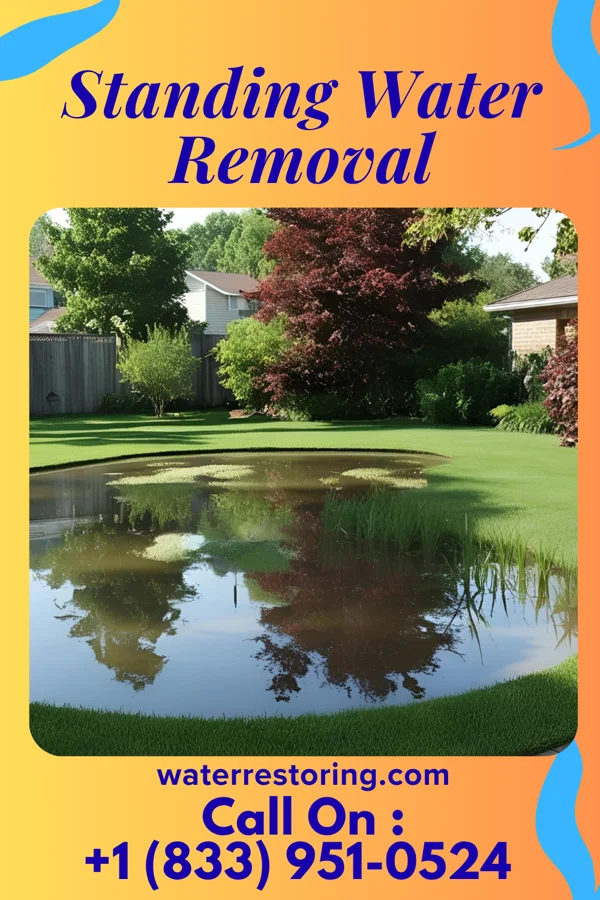 Standing Water Removal in Cold Spring, KY